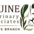 Equine Veterinary Associates